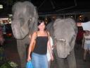 Jag med elefanterna