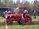 traktorrace-3.jpg